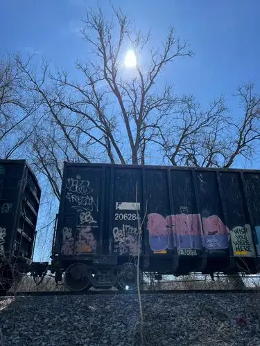 Graffiti-clad train bathed in a burst of winter sunlight.